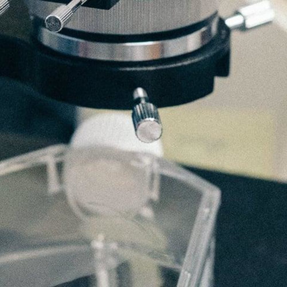 Image for ADVANZ PHARMA Corp. Limited Announces Release Date for Second Quarter 2020 Results